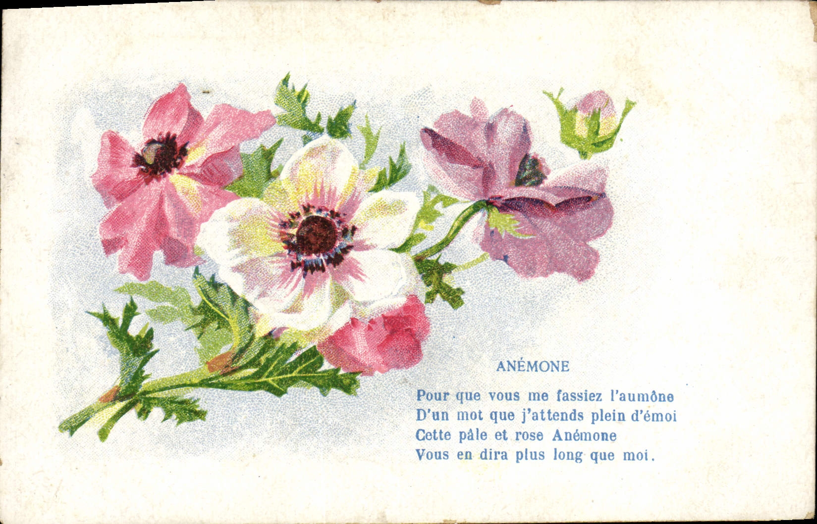 CPA Fantaisie Fleurs Anemone 