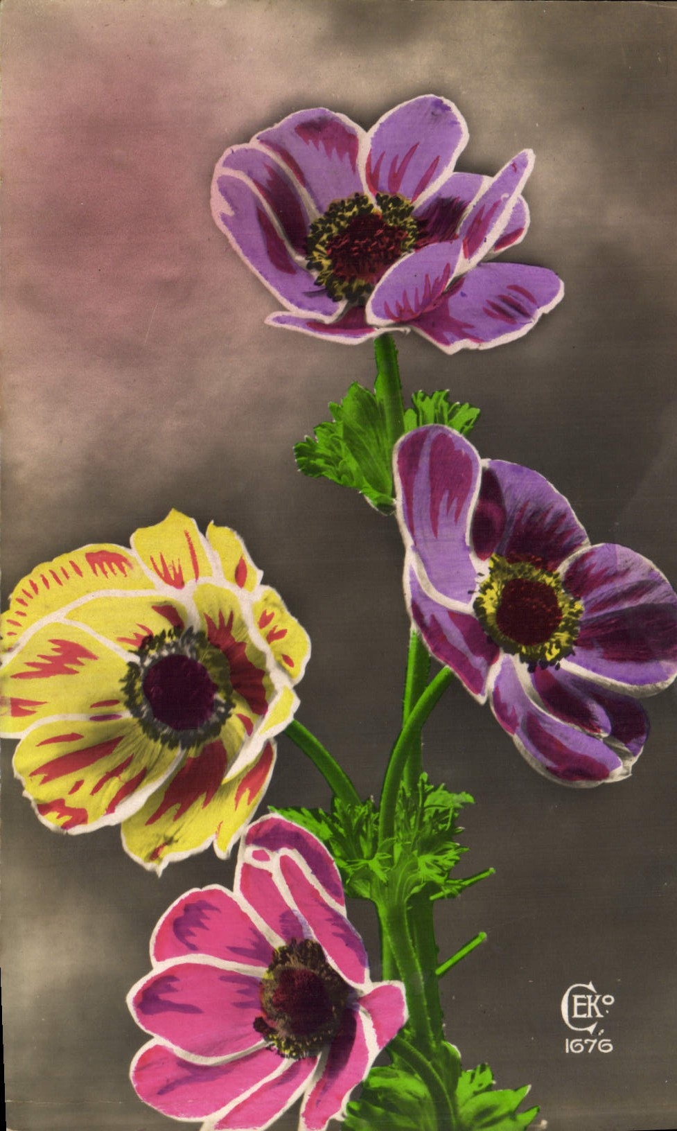 CPA Fantaisie Fleurs