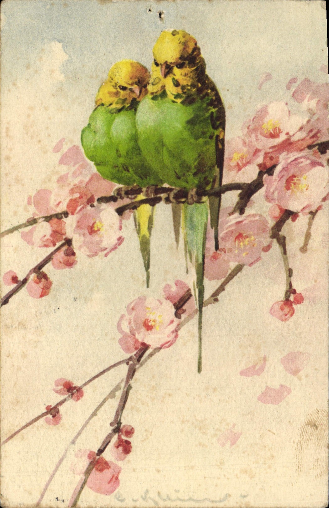 CPA Fantaisie Fleurs oiseaux perroquet