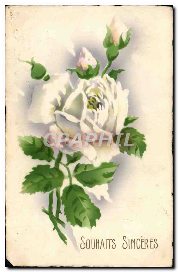 CPA Fantaisie Fleurs