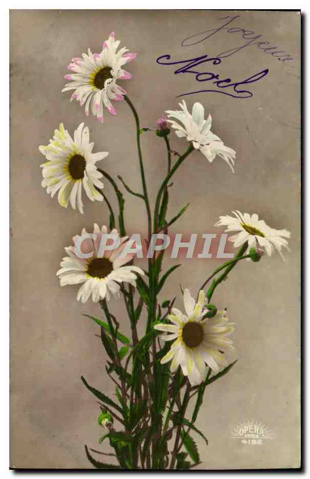 CPA Fantaisie Fleurs