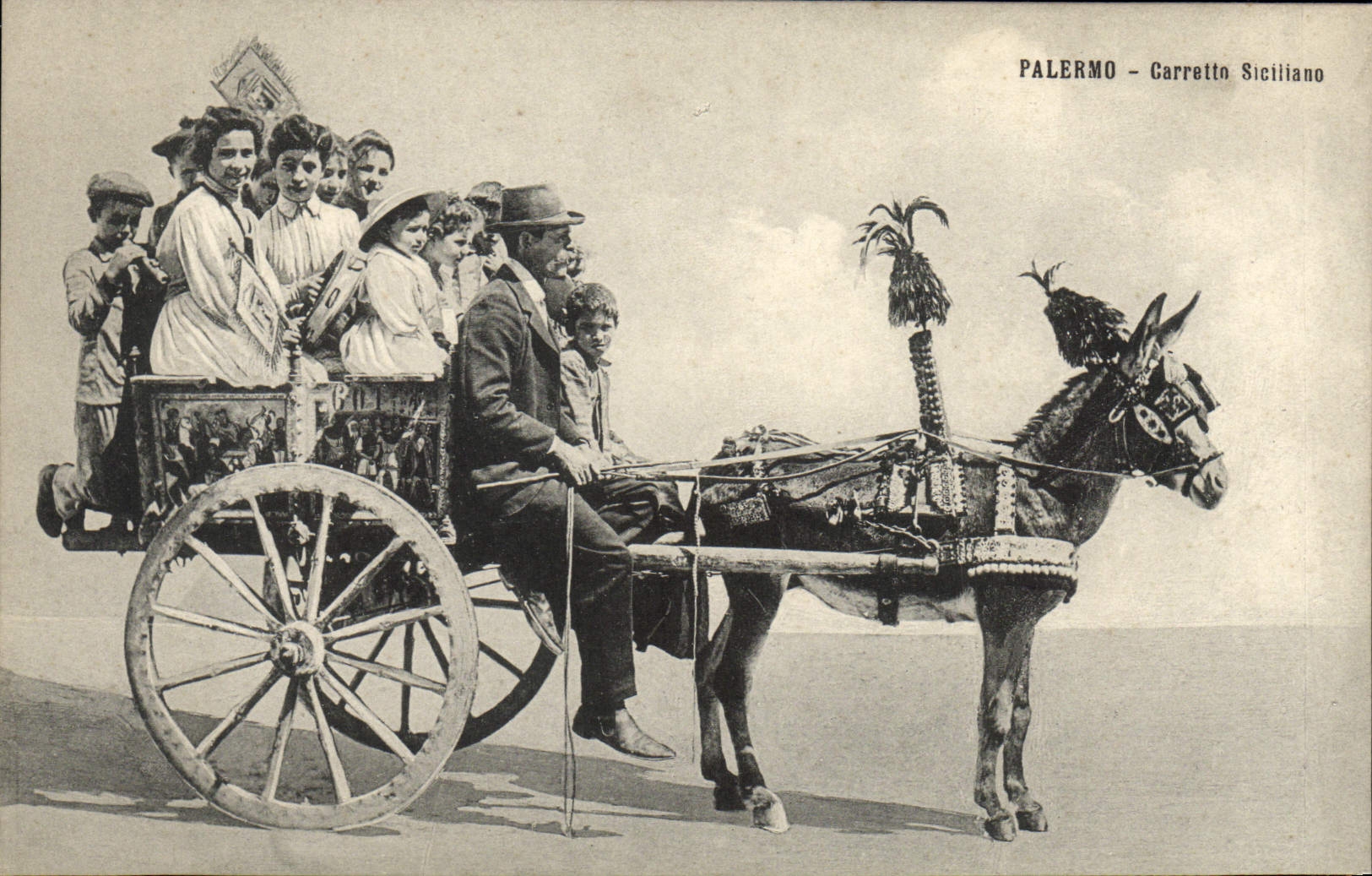 CPA Palermo Carretto Siciliano Ane Mule Folklore 