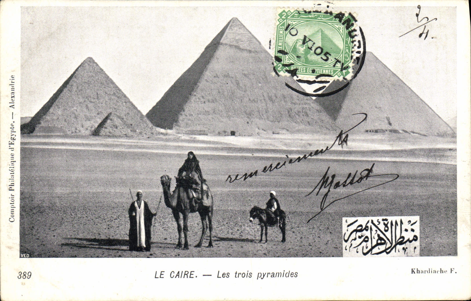 CPA Le Caire Les Trois Pyramides Chameau Ane Mule 