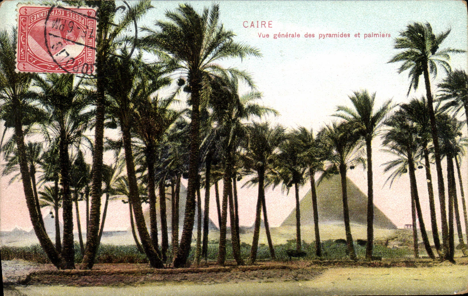 CPA Caire Vue Generale Des Pyramides Et Palmiers