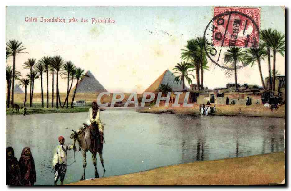 CPA Caire Inondation Pres Des Pyramides Chameau