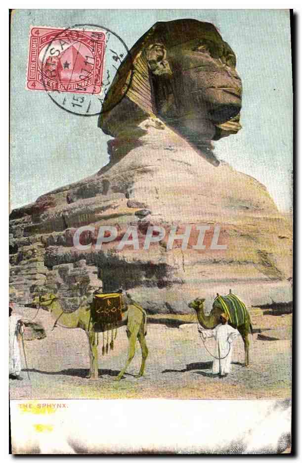 CPA The sphynx Chameaux Egypte