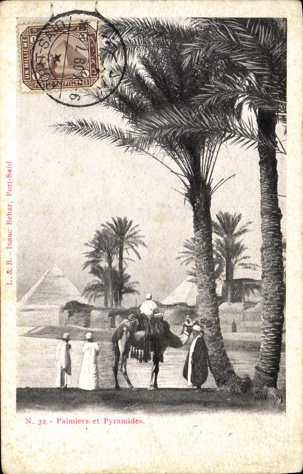 CPA Egypte Palmiers et Pyramides