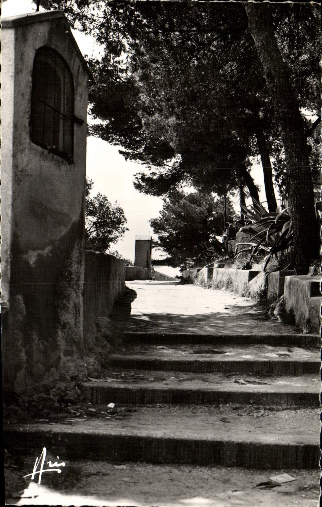 Sanary-sur-Mer — Chemin de l'Oraoire — Éditions ARIIS