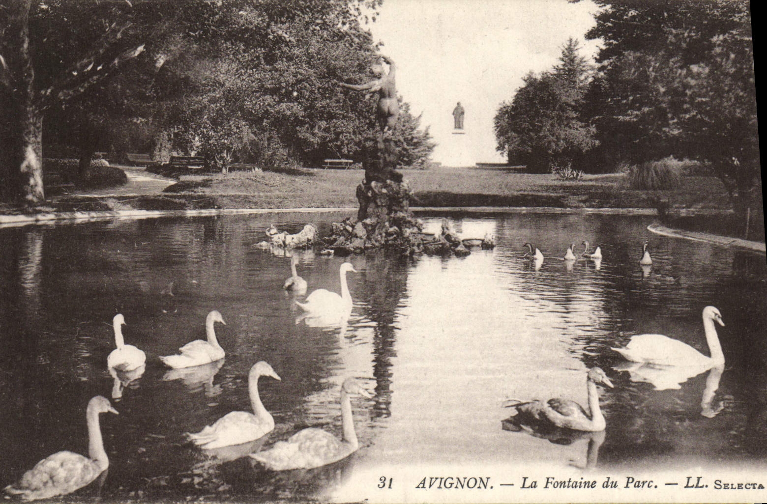 CPA Avignon La Fontaine du Parc Cygnes