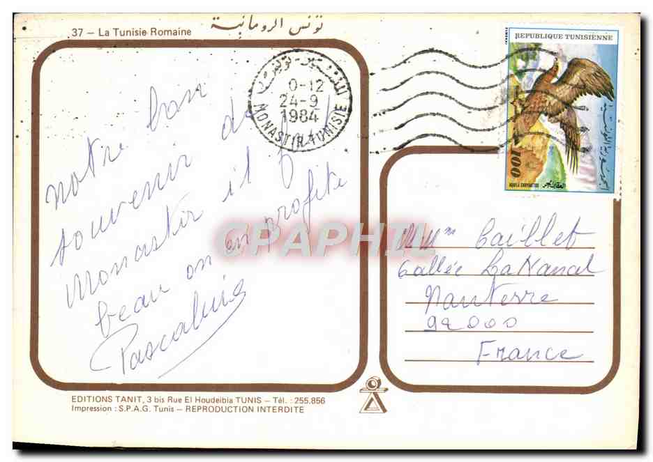 CPM La Tunisie Romaine — Rückseite