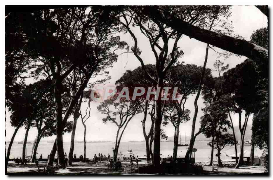 CPM Juan Les Pins La Pincede Et l'Escadro