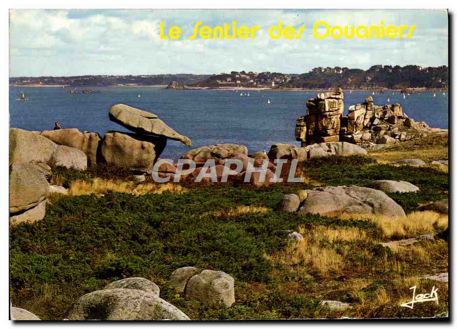 CPM Le Centier Des Douaniers