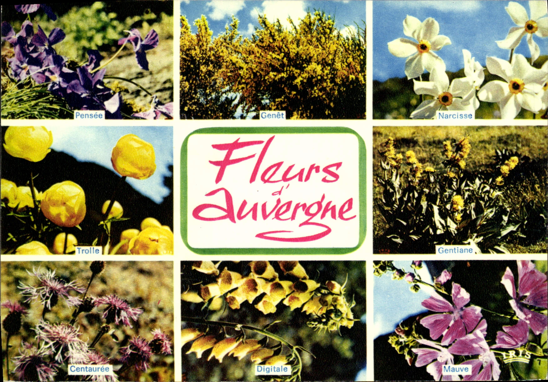 Fleurs d'Auvergne — Collection LUMICAP — éditeur Mexichrome