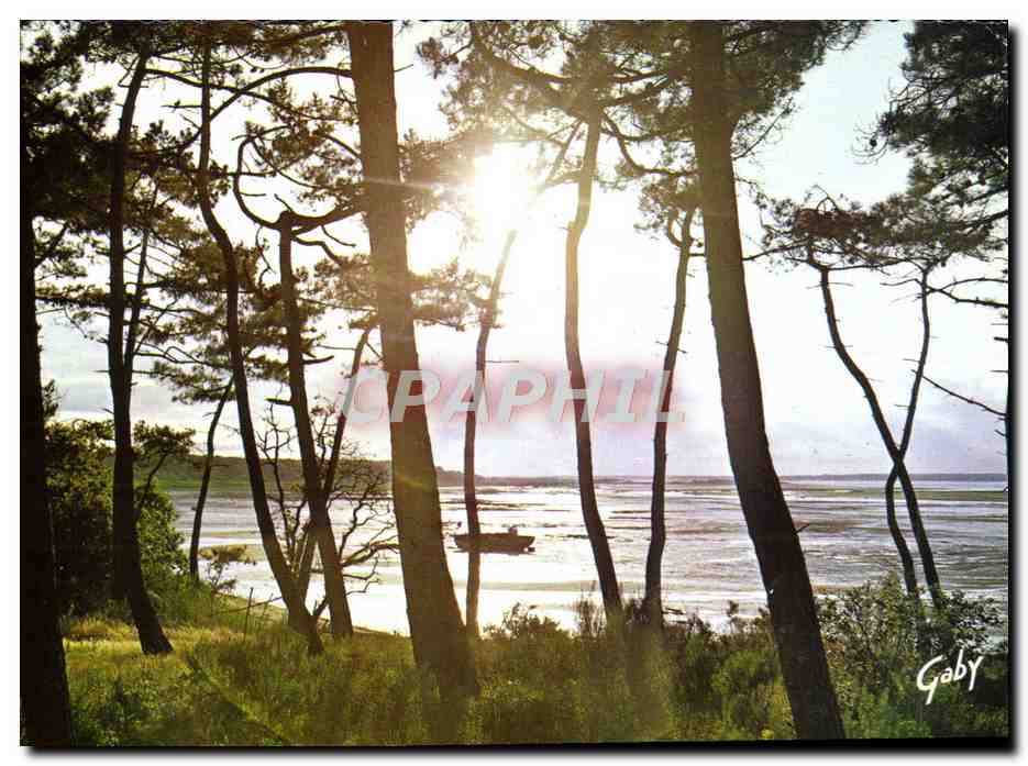 CPM Vendee