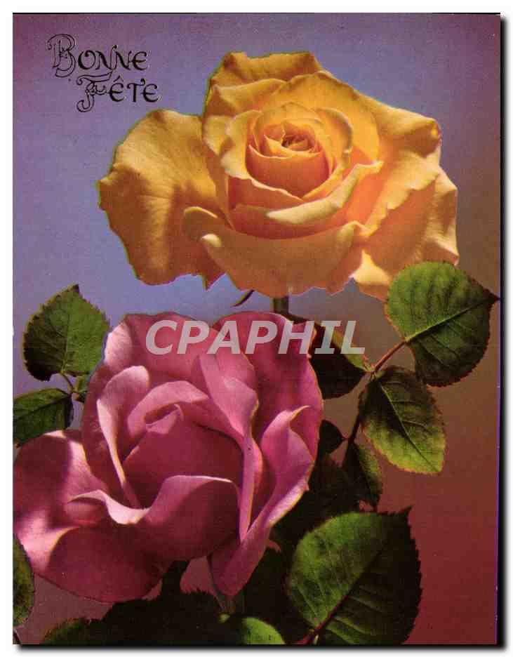 CPM Bonne Fete Fleurs