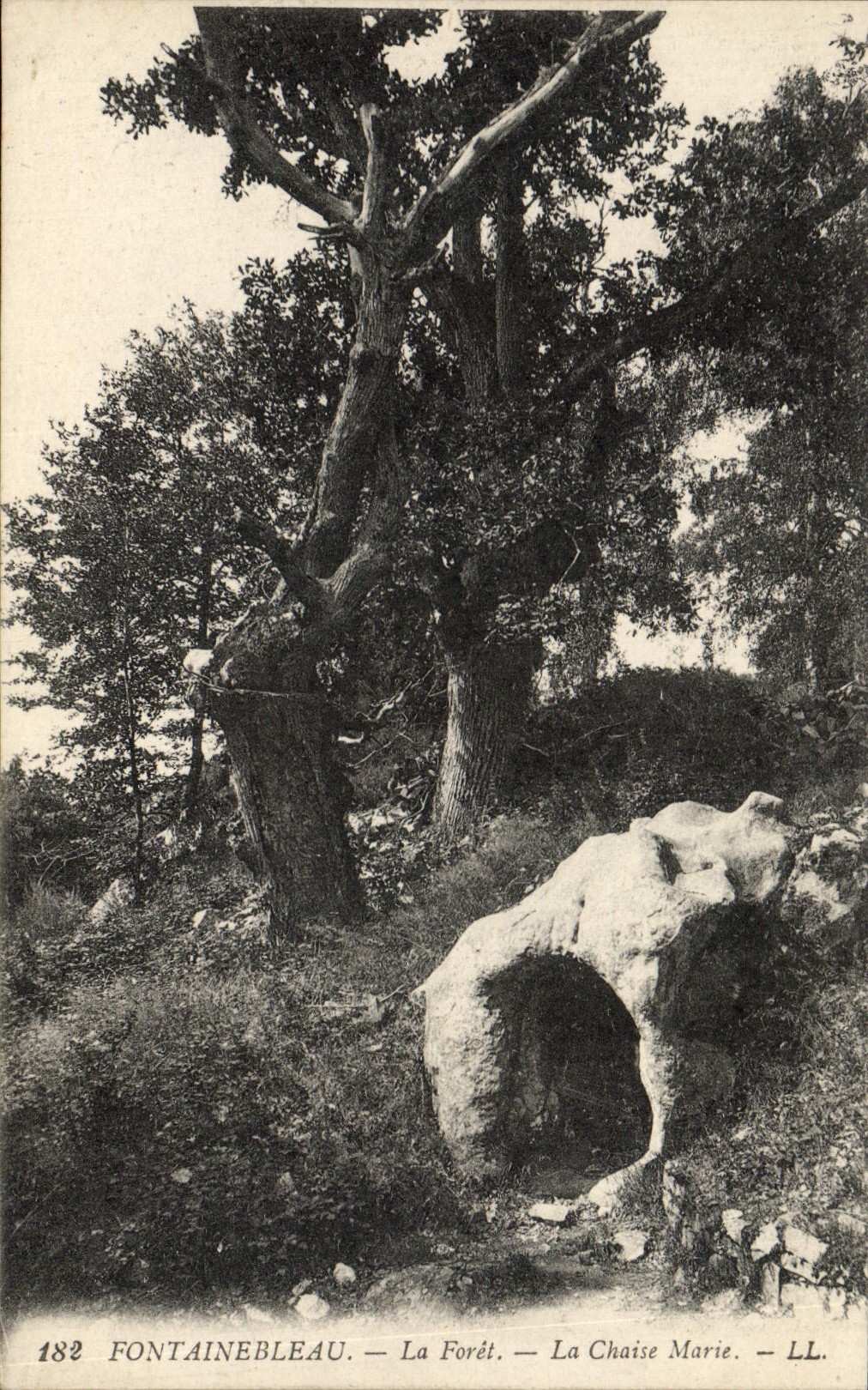 Fontainebleau — La Forêt — La Chaise Marie — LL — n°182