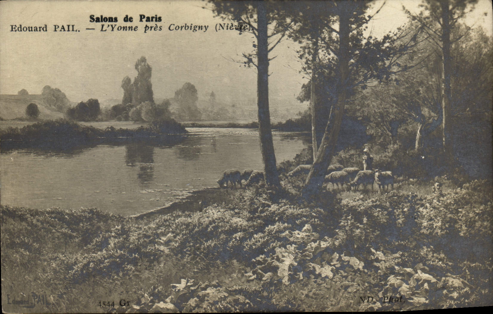 CPA Salons de Paris Edouard Pail L'Yonne pres Corbigny Moutons 