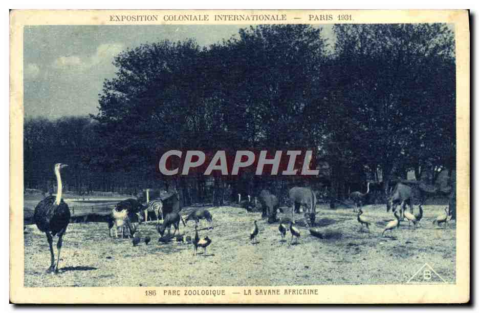 CPA Exposition Coloniale Internationale Paris 1931 Parc zoologique La savane africaine Zoo Autruche