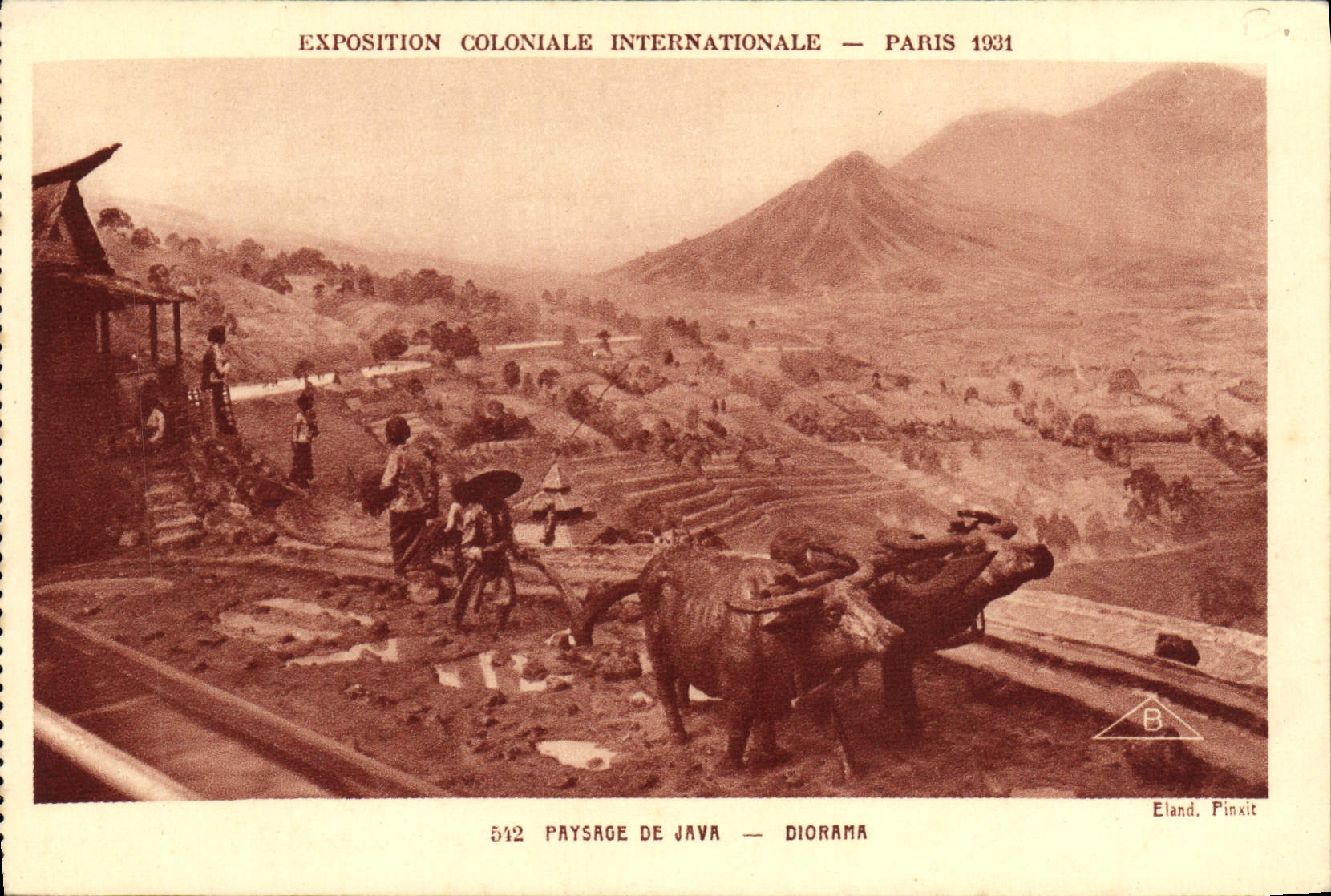 CPA Exposition Coloniale Internationale Paris 1931 Paysage de Java Diorama Boeufs