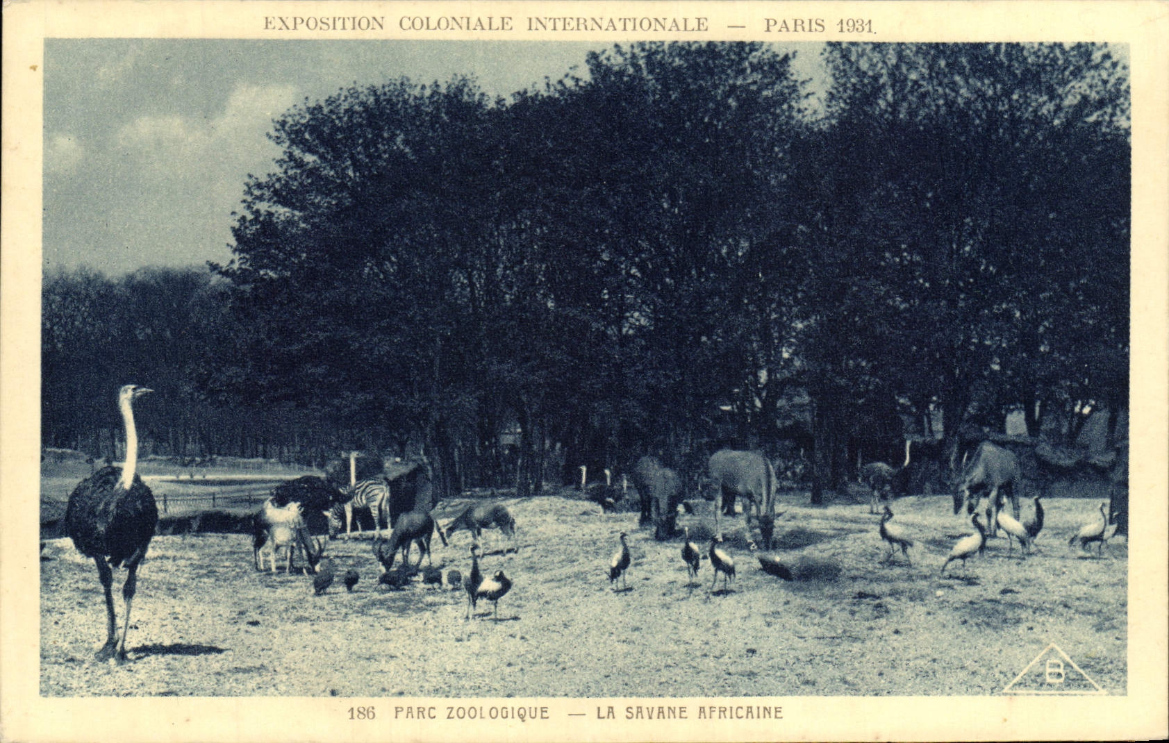 Internationale Kolonialausstellung — Paris 1931. Zoologischer Park — Afrikanische Savanne — n° 186