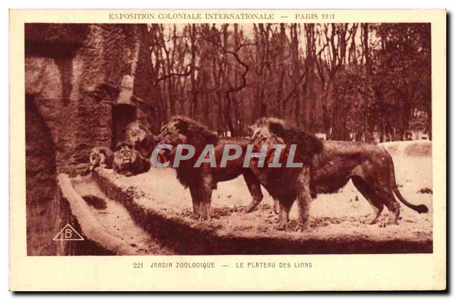 Jardin Zoologique — Le Plateau des Lions — Exposition Coloniale Internationale — Paris 1931