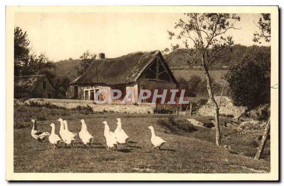 CPA En Morvan Chaumiere Morvandelle