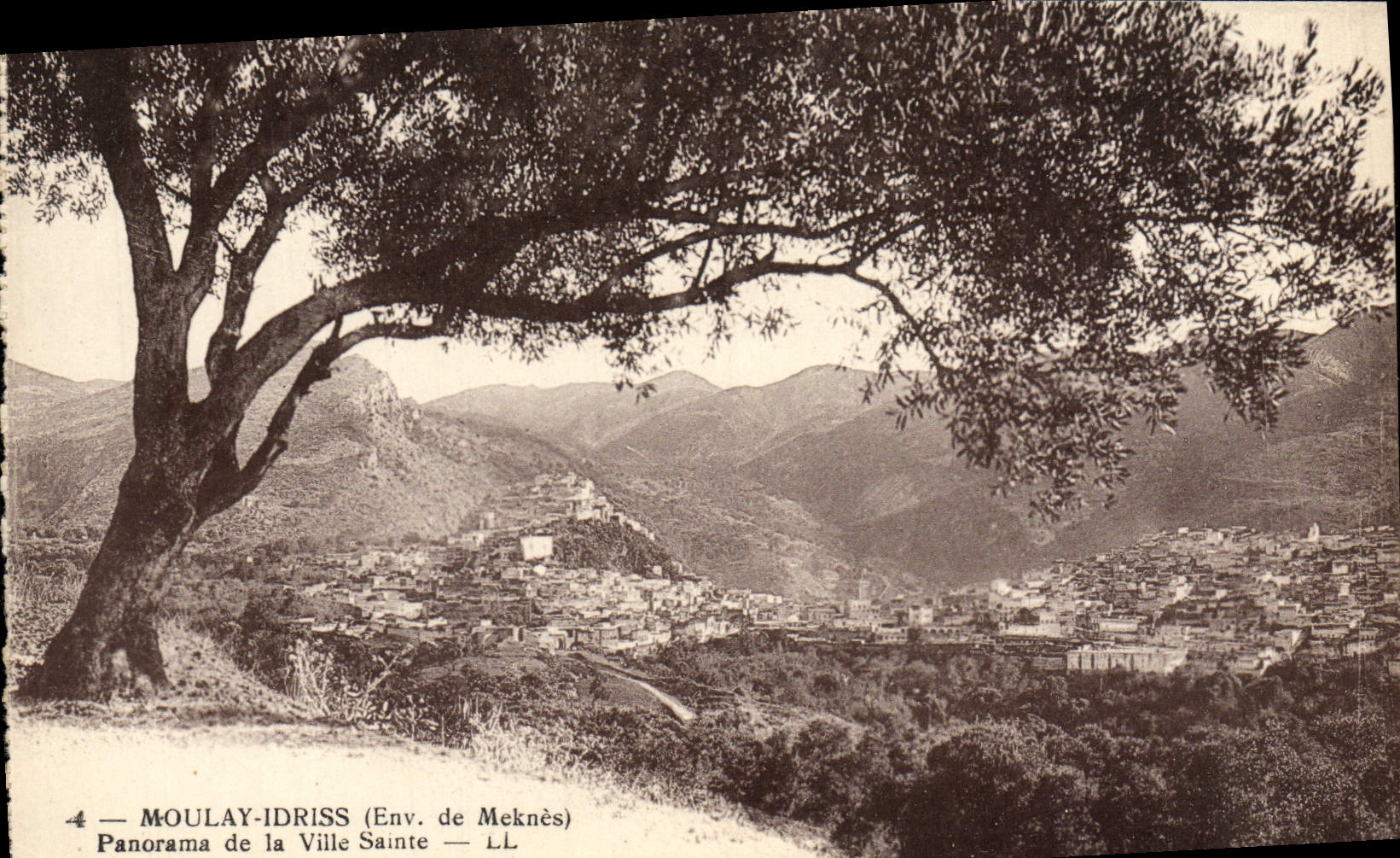 CPA Moulay Idriss Panorama De La Ville Sainte