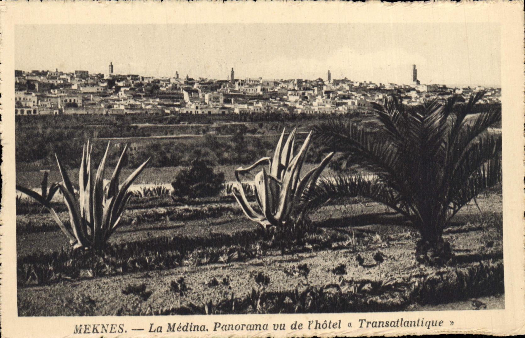 CPA Meknes La Medina Panorama Vu De L'Hotel Transatlantique