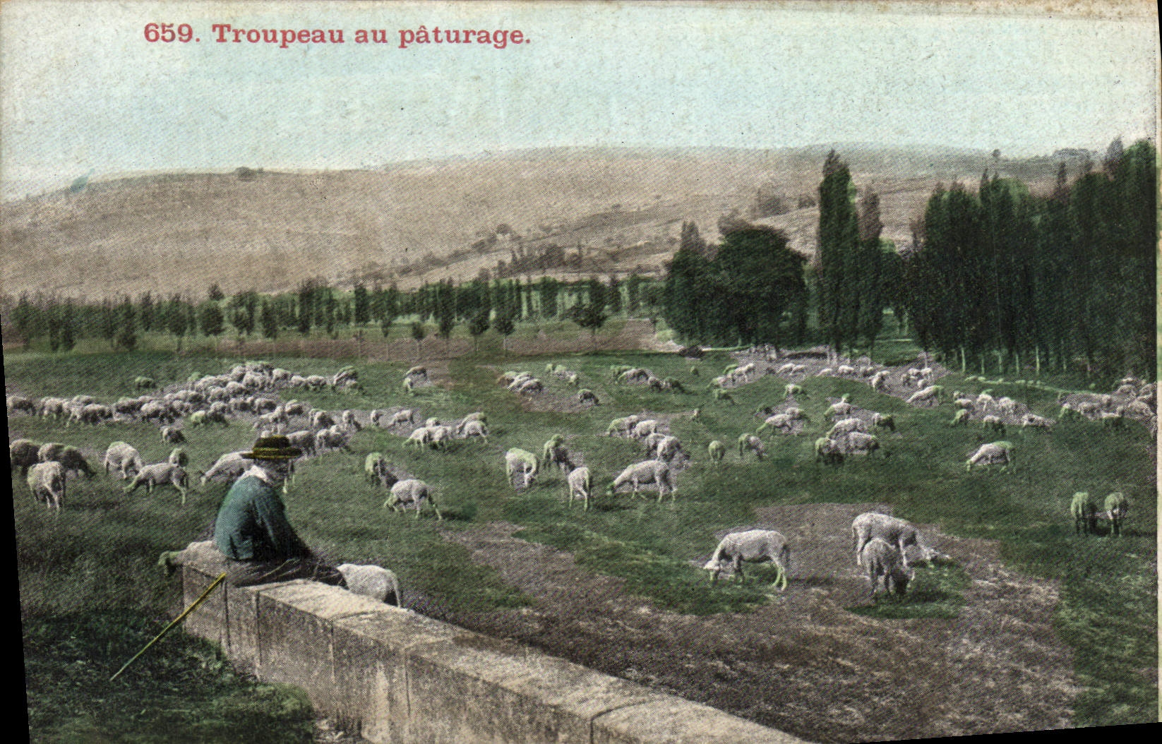 CPA Troupeau Au Paturage Berger et moutons