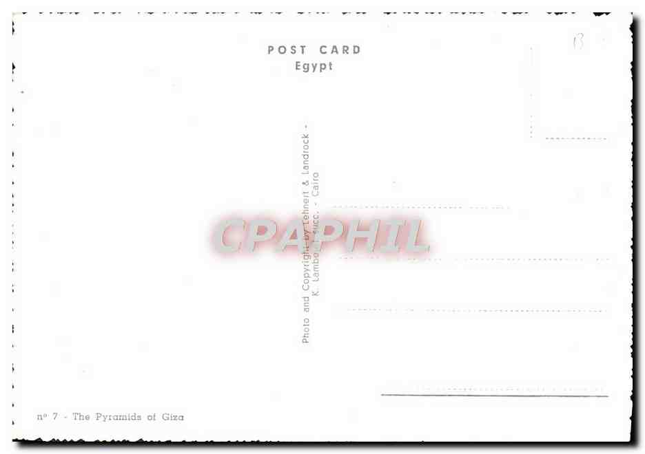 CPM Cairo The Pyrarnids of Giza Egypte Chameau — Rückseite