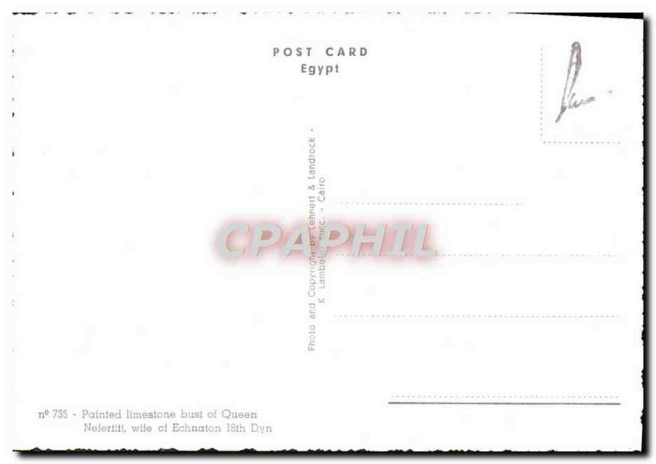 Néfertiti — buste en pierre peinte — K. Lamberti & Cie, Cairo — Verso