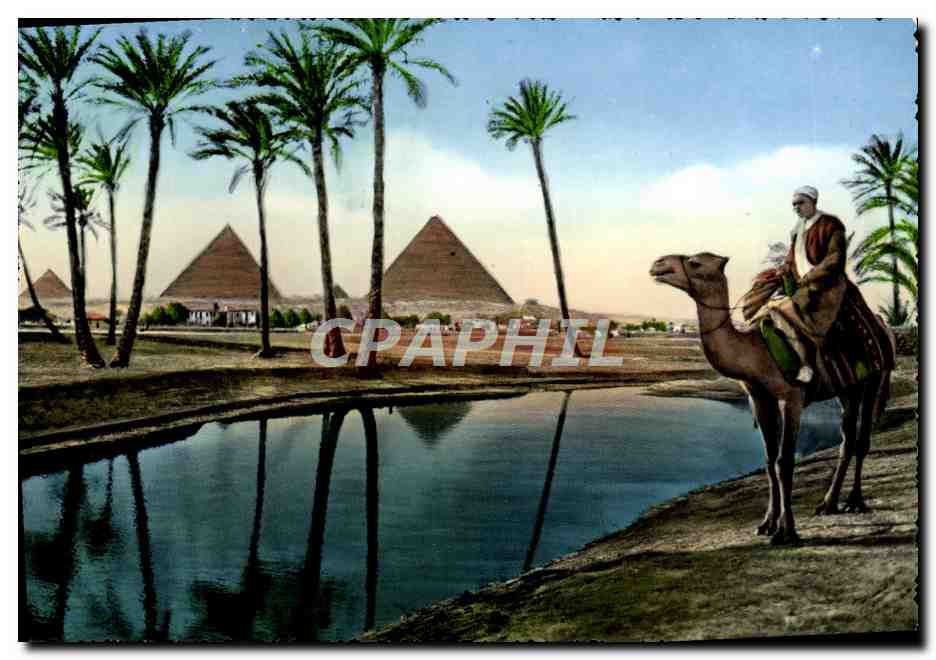 CPM The Pyramids of Giza Chameau Egypte