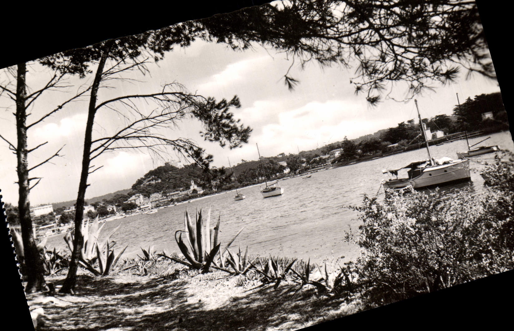 Porquerolles — Vue sur le Port — Collection Photographie Véritable