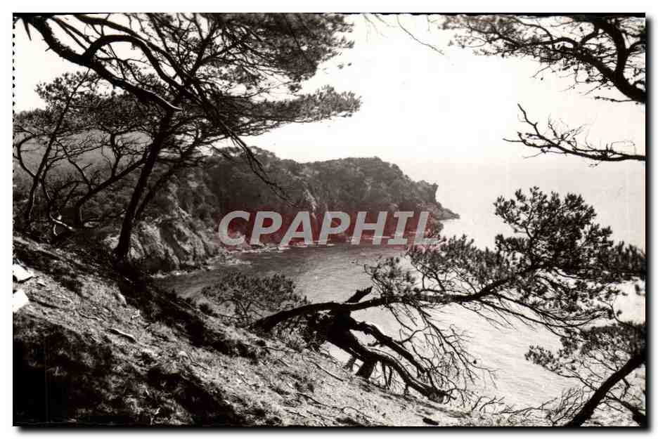 Porquerolles — Calanque de l'Oustaou de Diou — Collection Porquerolles