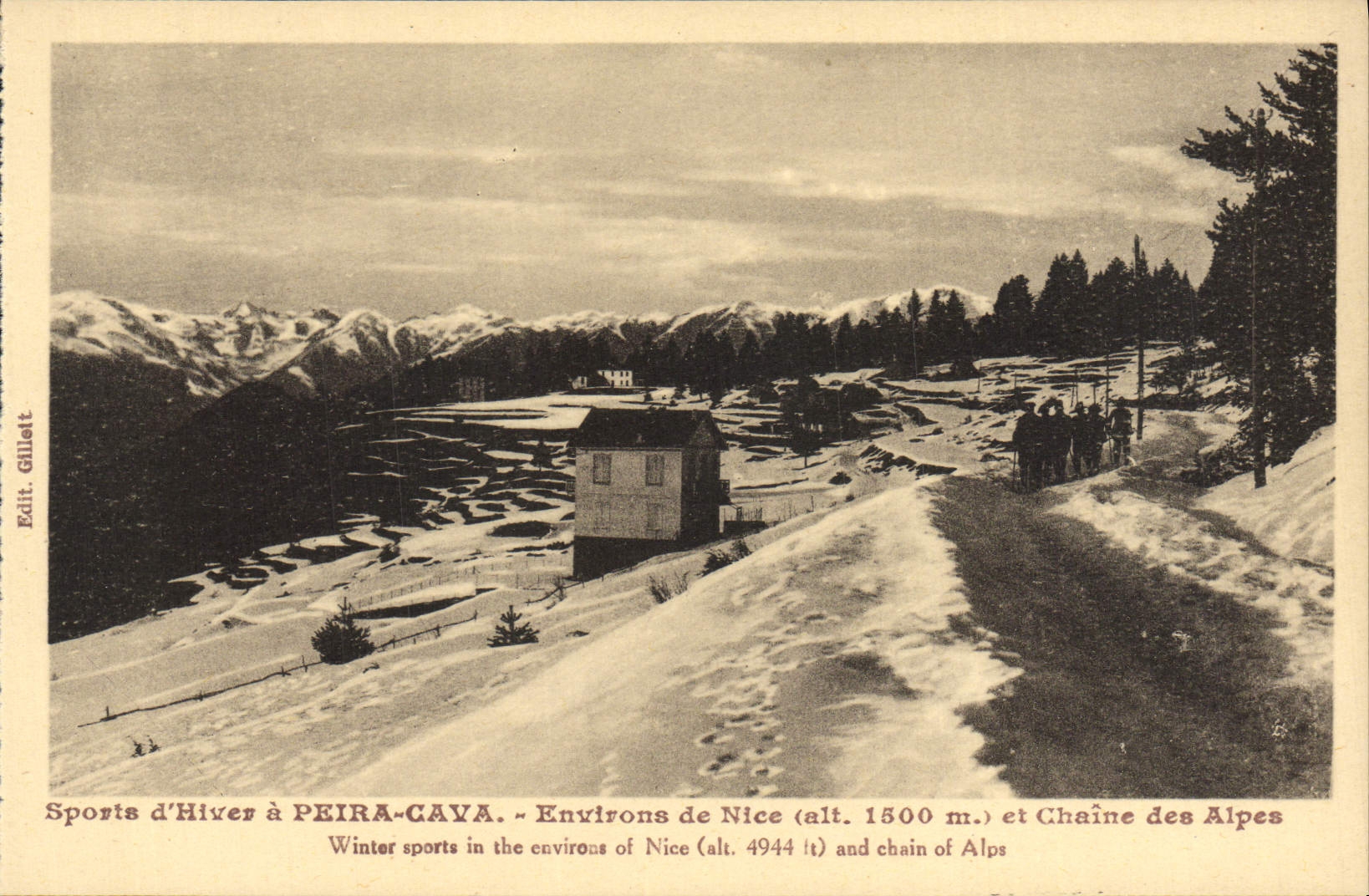 CPA Peira Cava Environs de Nice et la chaine des Alpes Ski