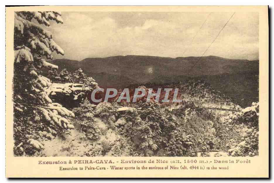 CPA Peira Cava Environs de Nice Sports d'Hiver Dans la foret