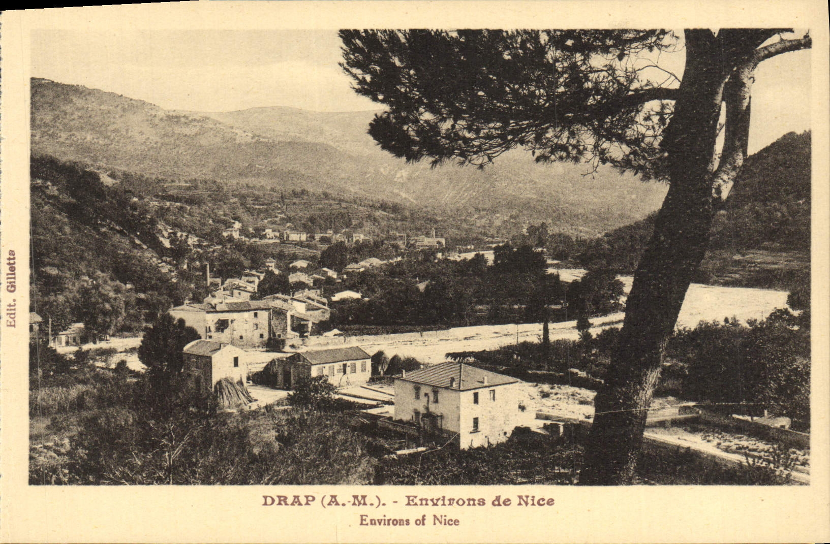 CPA Drap Environs de Nice 