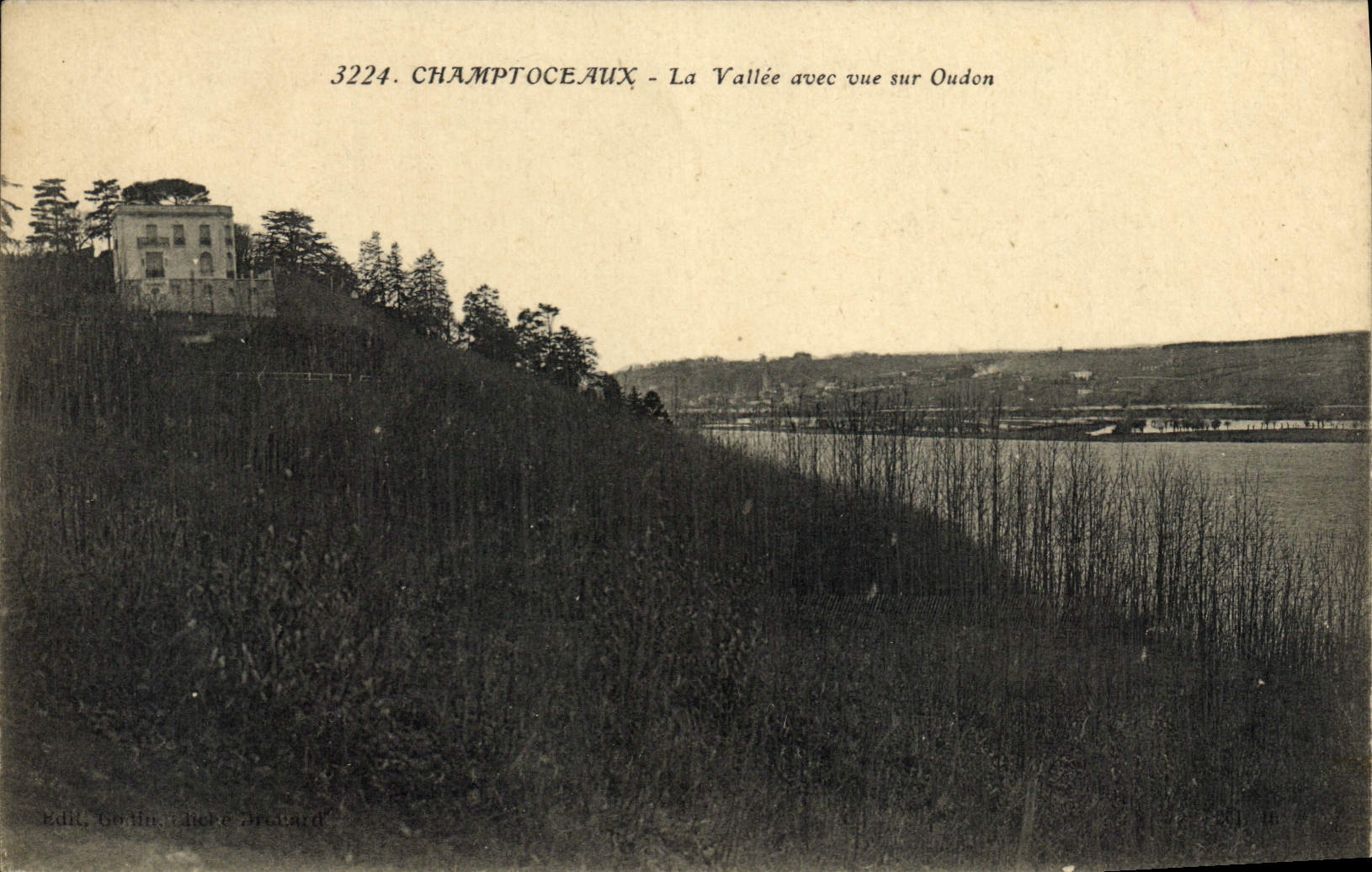 CPA Champtoceaux La Vallee Avec Vue Sur Oudon