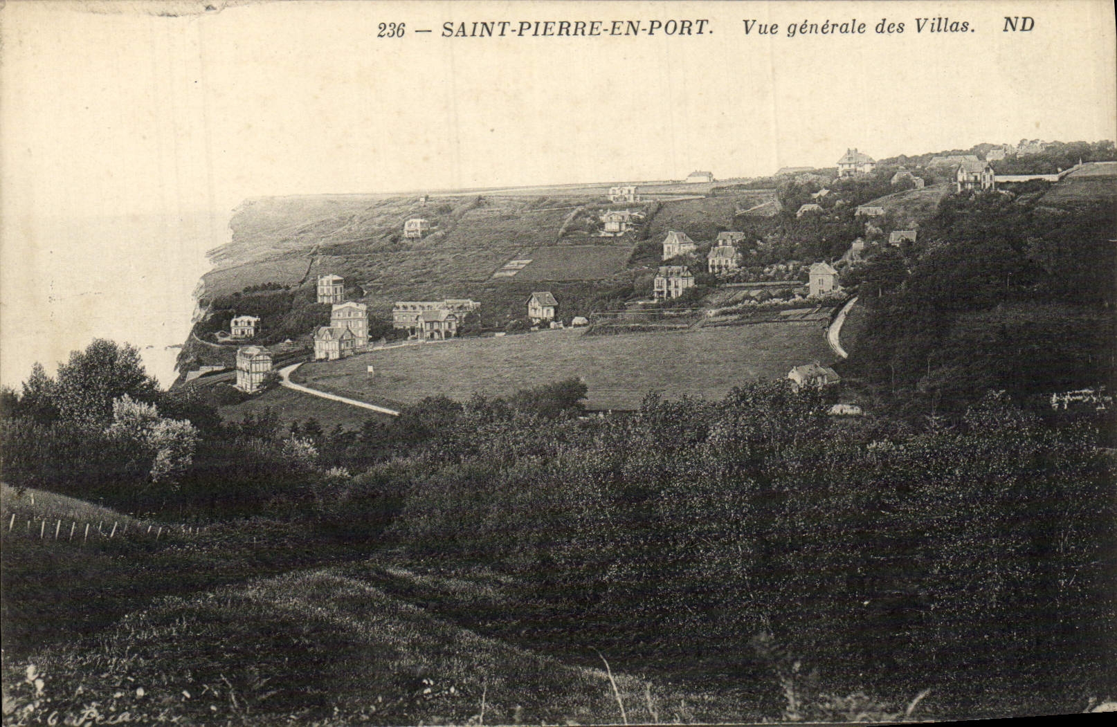 CPA Saint Pierre En Port Vue Generale Des Villas
