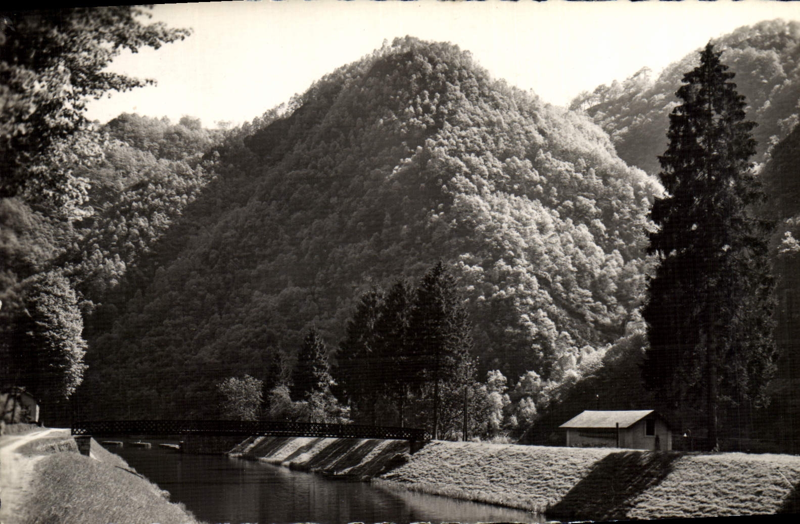 CPM Vallee De La Meuse Laifour Les Dames De Meuse
