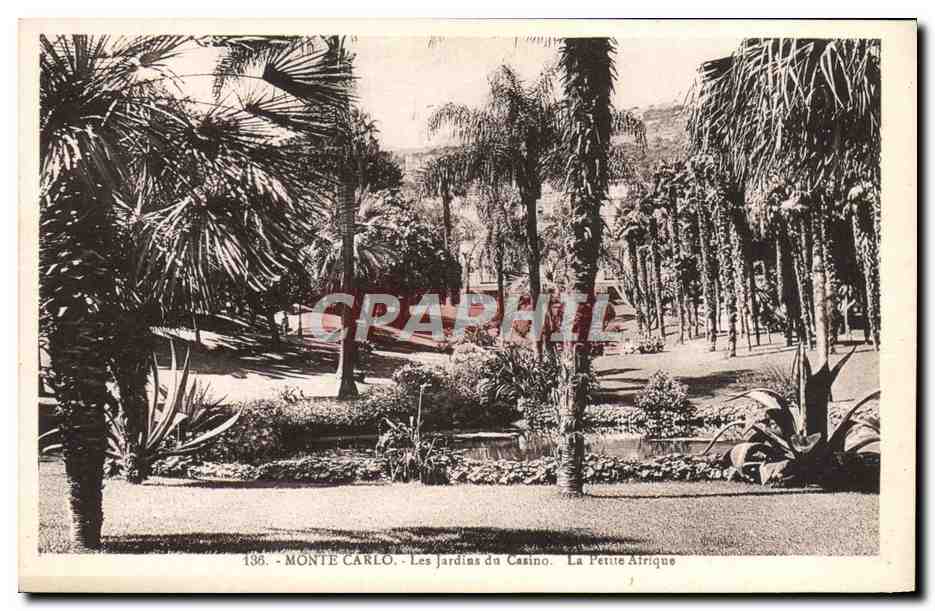 CPA Monte Carlo Les Jardins du casino La petite Afrique