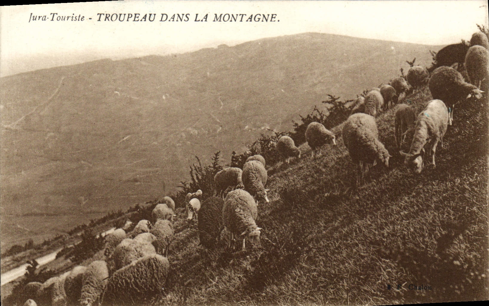 CPA Jura Touriste Troupeau Dans La Montagne Moutons 
