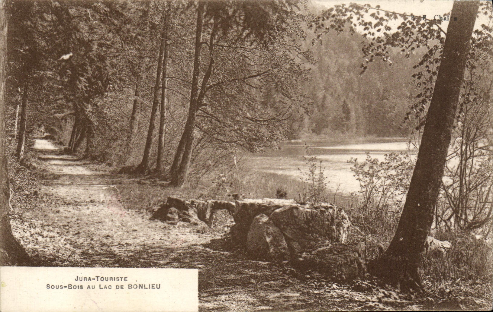 CPA Sous Bois Au Lac De Bonlieu