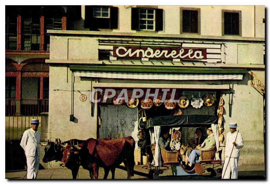 CPM Window Shopping in an Oxen Carro Madeira