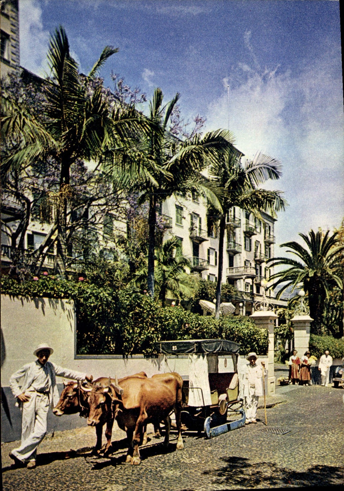 CPM The Savoy Hotel Funchal Madeira