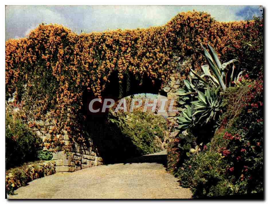Bignonias overhanging entrance — private Quinta, Madeira — J. A. Dixon & Co. Ltd, England
