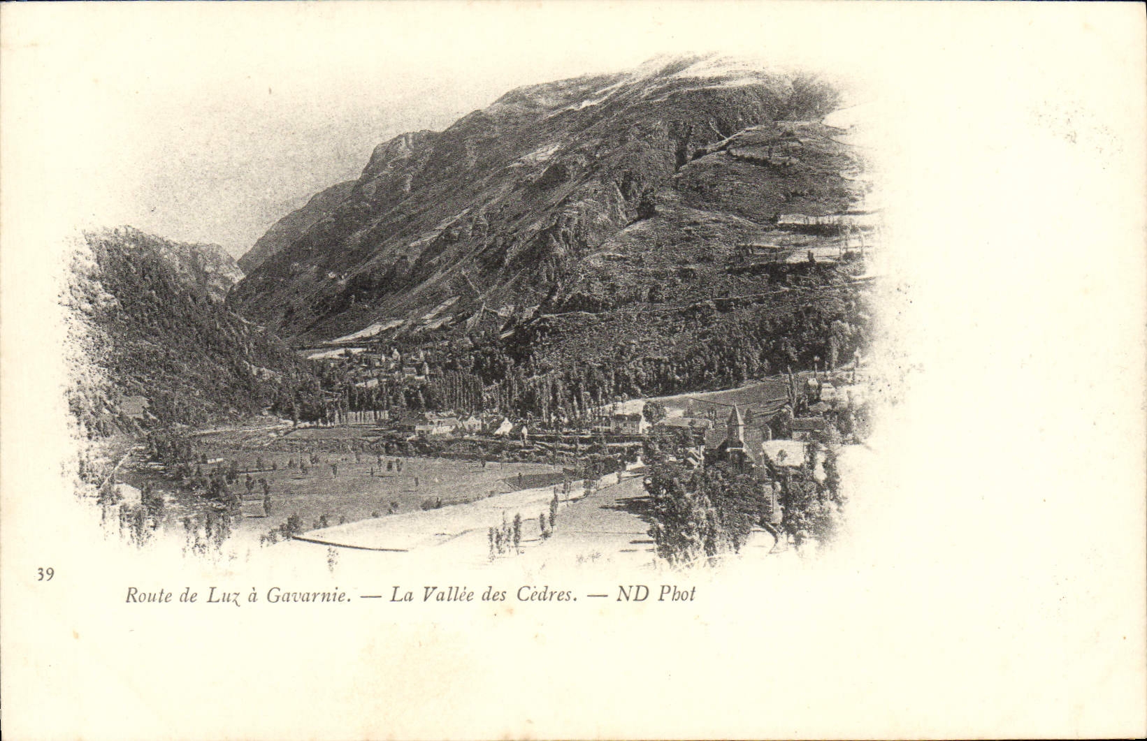 CPA Route De Luz A Gavarnie La Vallee Des Cedres