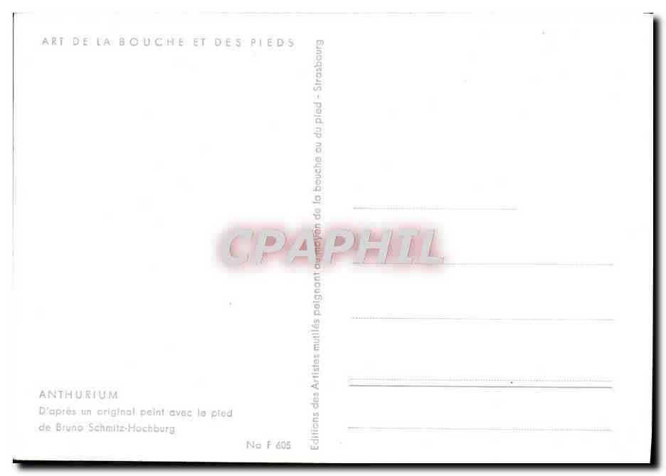 CPM Anthurium Peint Avec Le Pied — Verso