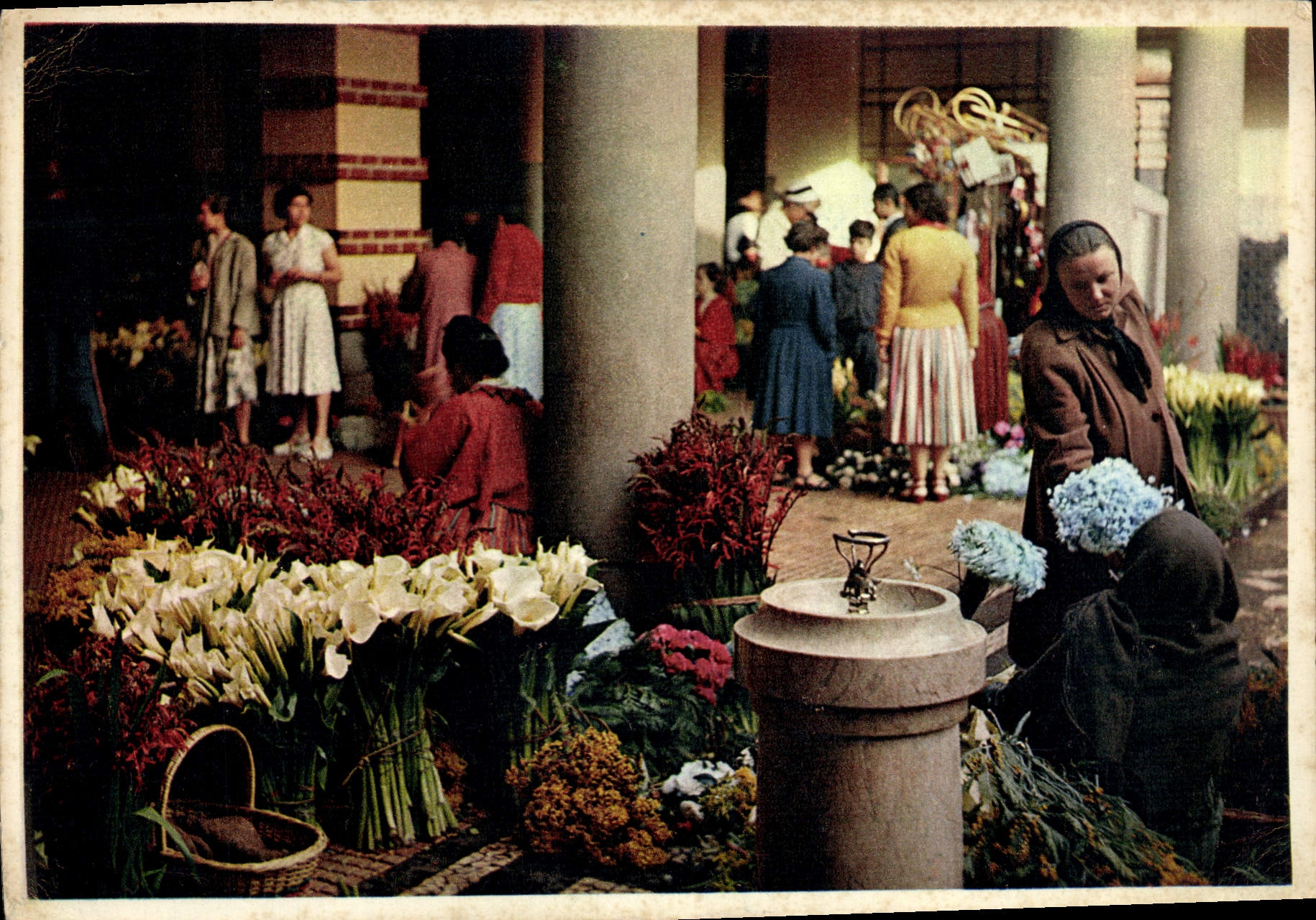 Coin de fleurs du marché, Funchal — Madeira — éditeur J. Arthur Dixon & Co. Ltd., Isle of Wight, England, n° MDR.20
