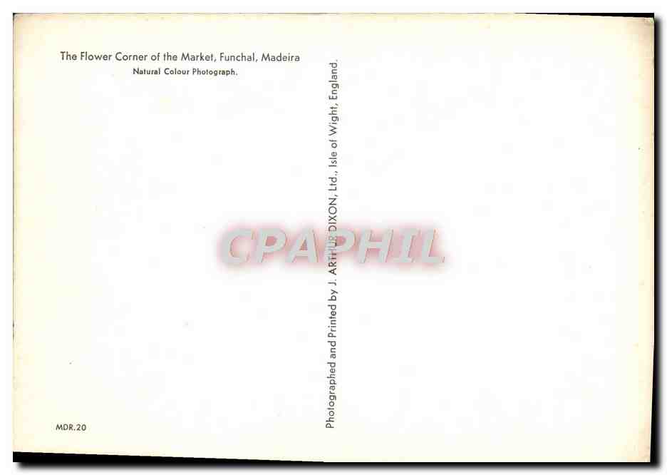 Coin de fleurs du marché, Funchal — Madeira — éditeur J. Arthur Dixon & Co. Ltd., Isle of Wight, England, n° MDR.20 — Reverso